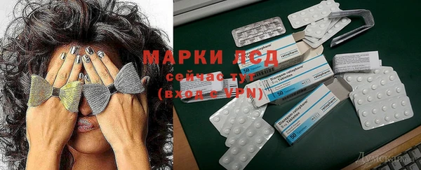 гидропоника Балахна