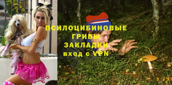 гидропоника Балахна