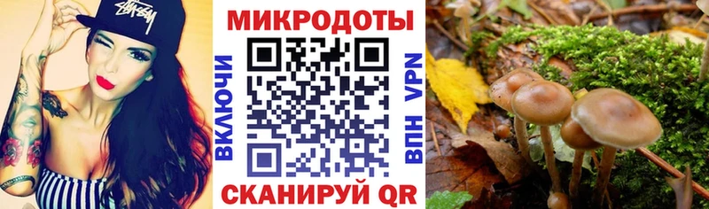 купить наркоту  Куртамыш  Галлюциногенные грибы мухоморы 